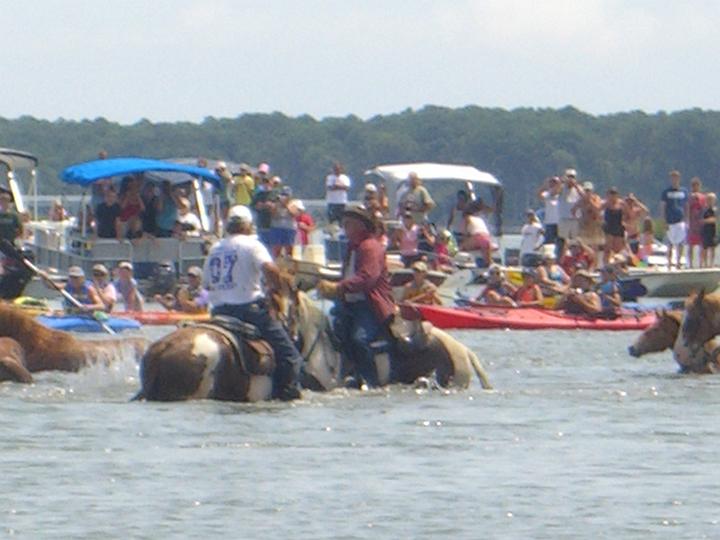 Chincoteague Pony Swim July 2007 046.JPG